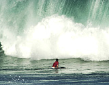 Honolulu Advertiser Pic of 30ft wave.