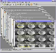 Screen Capture of multiple windows open